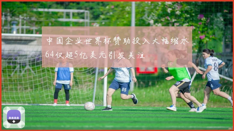 中国企业世界杯赞助投入大幅缩水64仅超5亿美元引发关注